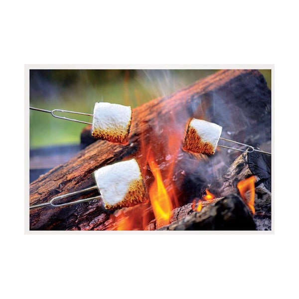 Campo Open Flame Roasting Extendable Marshmallow Fork, Plastic & Stainless Steel, 72PK CA2737945 - main